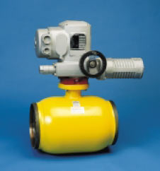 DN200 + Auma SG12-63