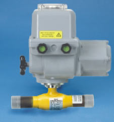 DN25 + Bernard OA3