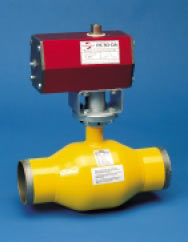 DN80 + RC230-DA