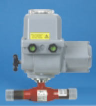 NAVALSTEAM DN15 + RC210-DA
