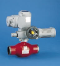 NAVALSTEAM DN80+ AUMA SG07